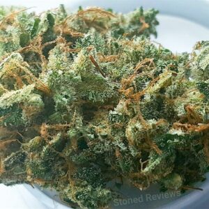 ACDC Marijuana Strain