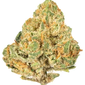 Alien OG Marijuana Strain