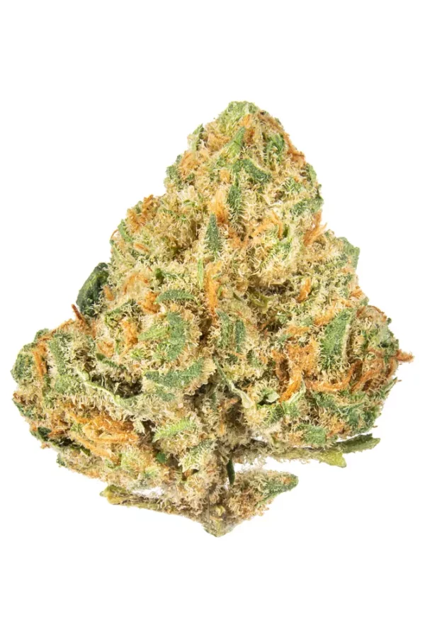 Alien OG Marijuana Strain