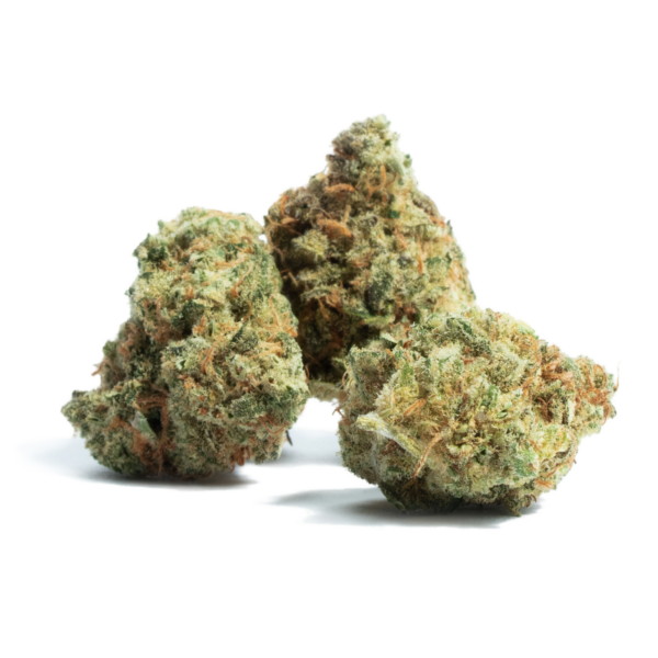 Amnesia Marijuana Strain