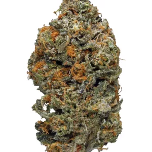 Animal Cookies Marijuana Strain