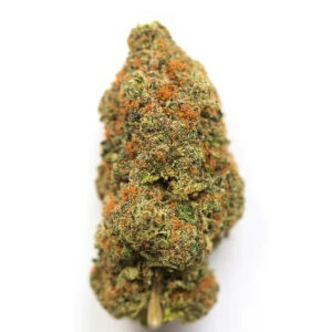 Big Bud Marijuana Strain