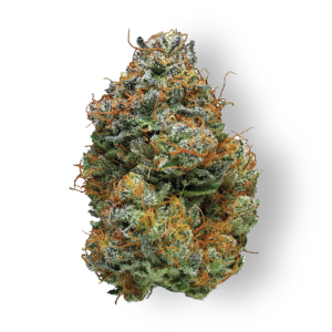 Blackberry Marijuana Strain