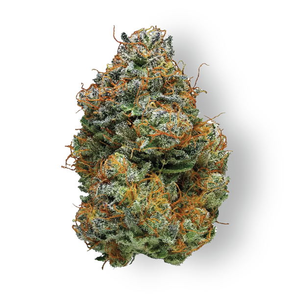 Blackberry Marijuana Strain