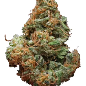 Blue Cheese Marijuana Strain