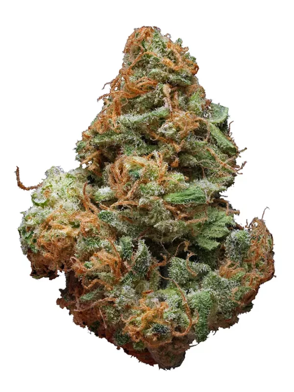 Blue Cheese Marijuana Strain