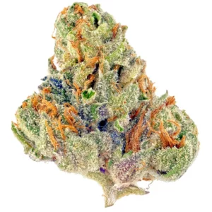 Bubble Gum Marijuana Strain