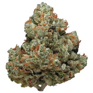 Chemdawg Marijuana Strain