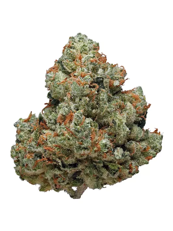 Chemdawg Marijuana Strain