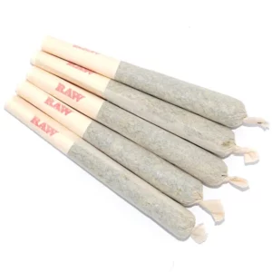 Gorilla Glue 4 Pre-Rolled Joints