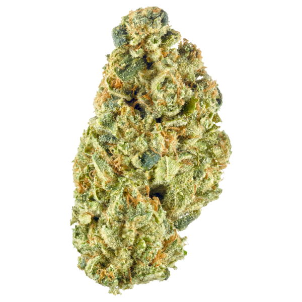 Headband Marijuana Strain