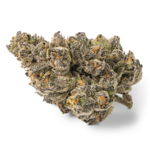 Jokerz weed strain