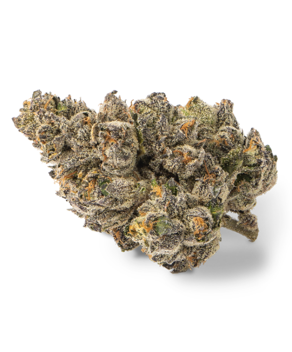 Jokerz weed strain