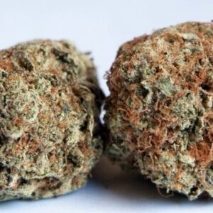 Mango Kush Marijuana Strain