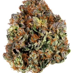 Master Kush Marijuana Strain