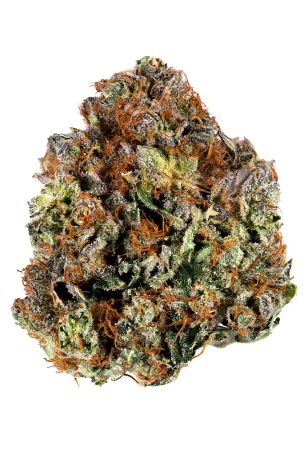 Master Kush Marijuana Strain