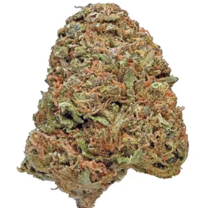 Maui Wowie Marijuana Strain