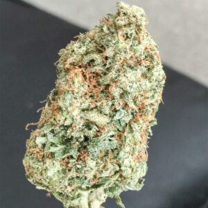 Pink Kush Marijuana Strain