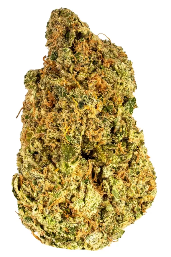 Star dawg Marijuana Strain