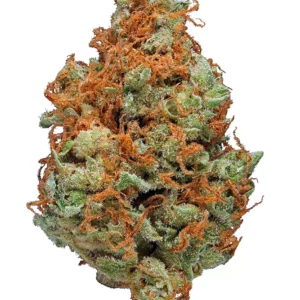 Strawberry Cough Marijuana Strain