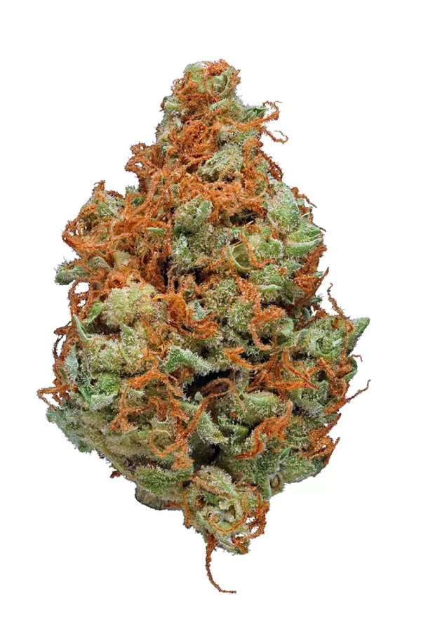 Strawberry Cough Marijuana Strain