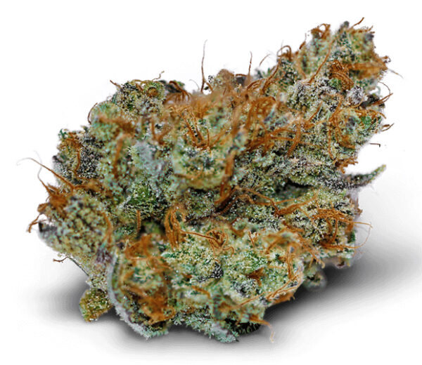 Sunshine Marijuana Strain