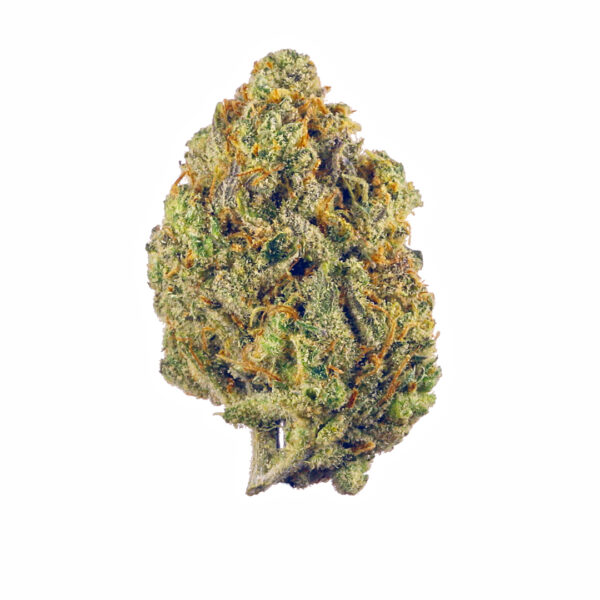 Super Lemon Haze Marijuana Strain