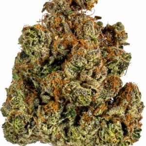 Trainwreck Marijuana Strain