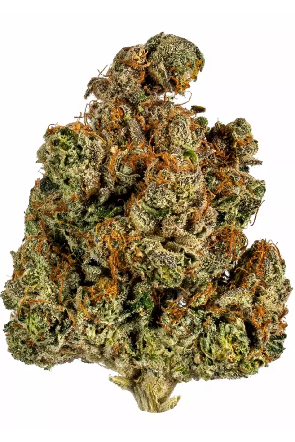 Trainwreck Marijuana Strain