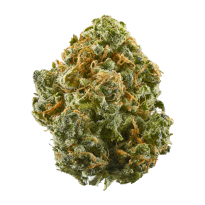 Blue Dream Marijuana Strain