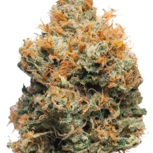 Golden Goat Marijuana Strain