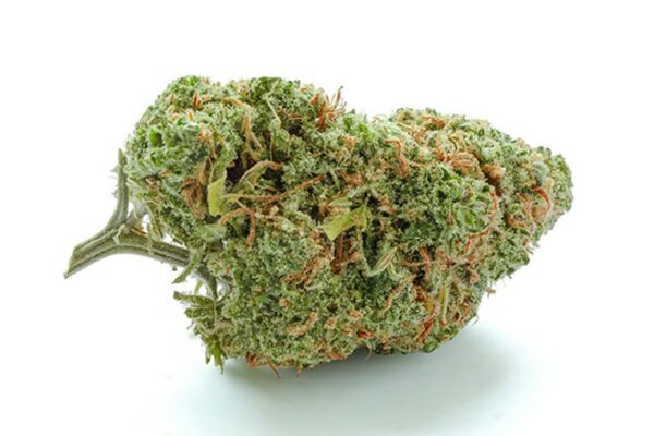 Green Crack Marijuana Strain