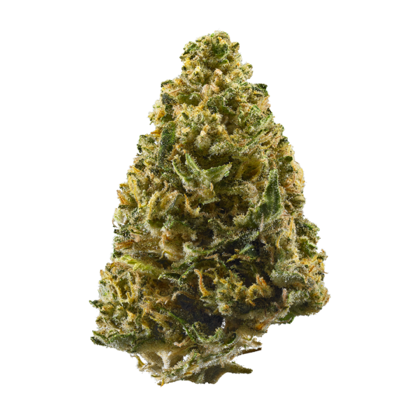 Northern Lights Marijuana Strain