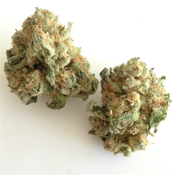 White Widow Marijuana Strain