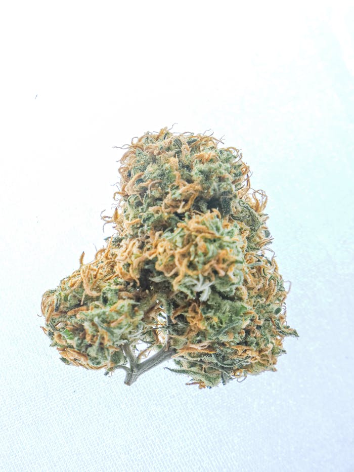 Close-Up Photo of Kush on White Background