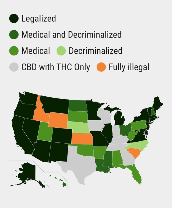 cannabis 101